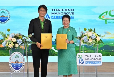 บางจากฯ ร่วมภาคีเครือข่ายป่าชายเลน Thailand Mangrove Alliance