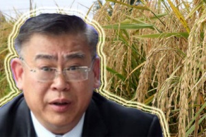 ก.เกษตรฯ ชี้สื่อปล่อยข่าวโคมลอย ยันสหรัฐฯ ไม่กักนำเข้าข้าวไทย