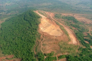 โพลสิ่งแวดล้อมทีดีอาร์ไอชี้ “พื้นที่ป่าถูกทำลาย” วิกฤติเร่งด่วนในสายตาคนไทย