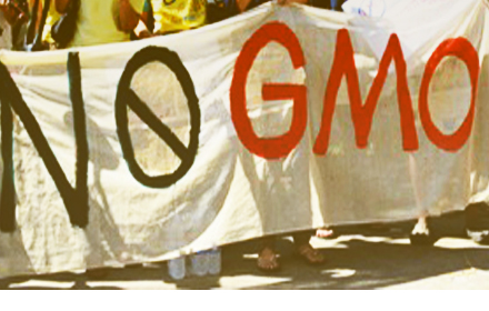 GMOs121258