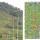 ดีเอสไอลุยสอบโครงการบลิซซ์ เขาค้อ ออกโฉนด 500 แปลง รุกป่าทุ่งแสลงหลวง