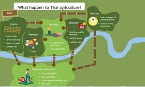 ต่อจิ๊กซอว์ มองเห็นภาพ เกิดอะไรขึ้นกับการทำเกษตรของไทย?