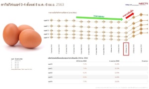 เนคเทควิเคราะห์ข้อมูลราคาไข่ ช่วง โควิด-พ.ร.ก.ฉุกเฉินฯ แพงขึ้น 7-15% ระยองขายถูกสุด
