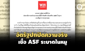 'เพื่อไทย'แถลงการณ์อัดรัฐปกปิดความจริงเชื้อ ASF ระบาดในหมู เตรียมร้อง ป.ป.ช.เอาผิด