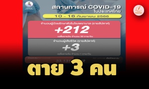 ตาย 3 คน! โควิดไทยสัปดาห์ล่าสุด ติดเชื้อเข้า รพ.212 ราย เฉลี่ย 30/วัน 
