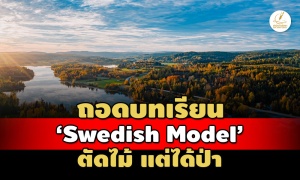 'Swedish Model' ตัดไม้ แต่ได้ป่า ไทย(คิด)เลียนแบบ แต่ยังห่างไกล