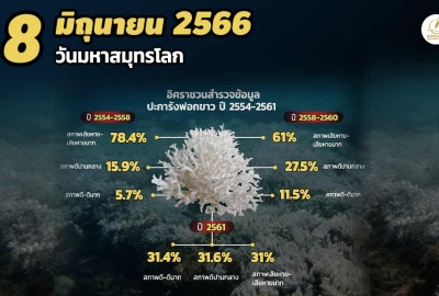 INFO: 8 มิ.ย. 66 วันมหาสมุทรโลก อิศราพาไปดูสถานภาพแนวประการังของไทย