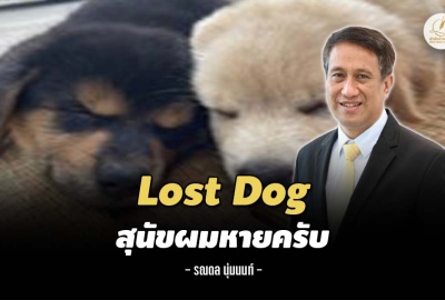 Lost Dog : สุนัขผมหายครับ