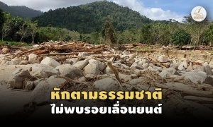 ป.ป.ช.นราฯ ลุยตรวจซุงนับร้อยท่อนถูกน้ำป่าพัดช่วงอุทกภัยใหญ่