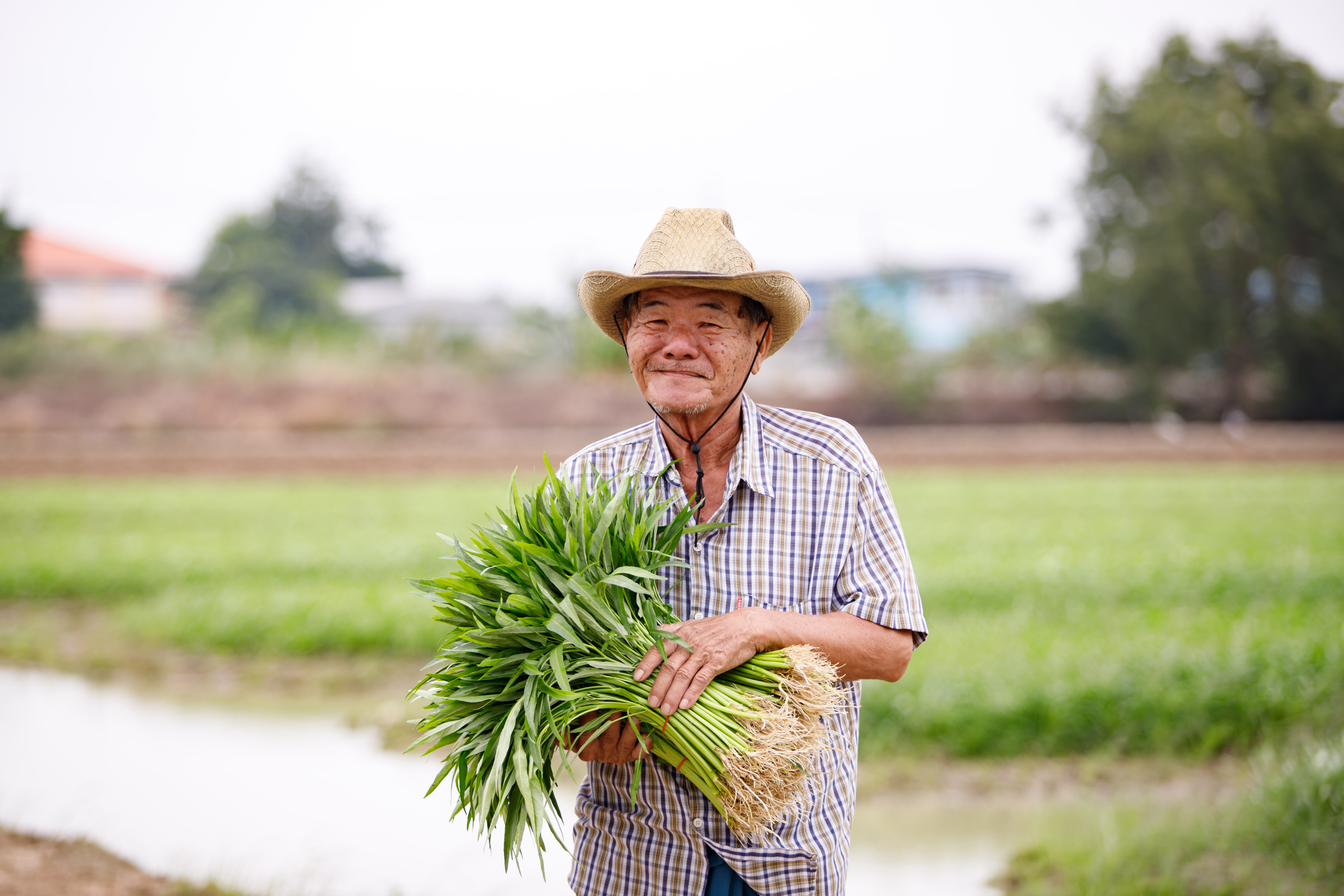 ทะนงศักดิ์ เกษตรกร