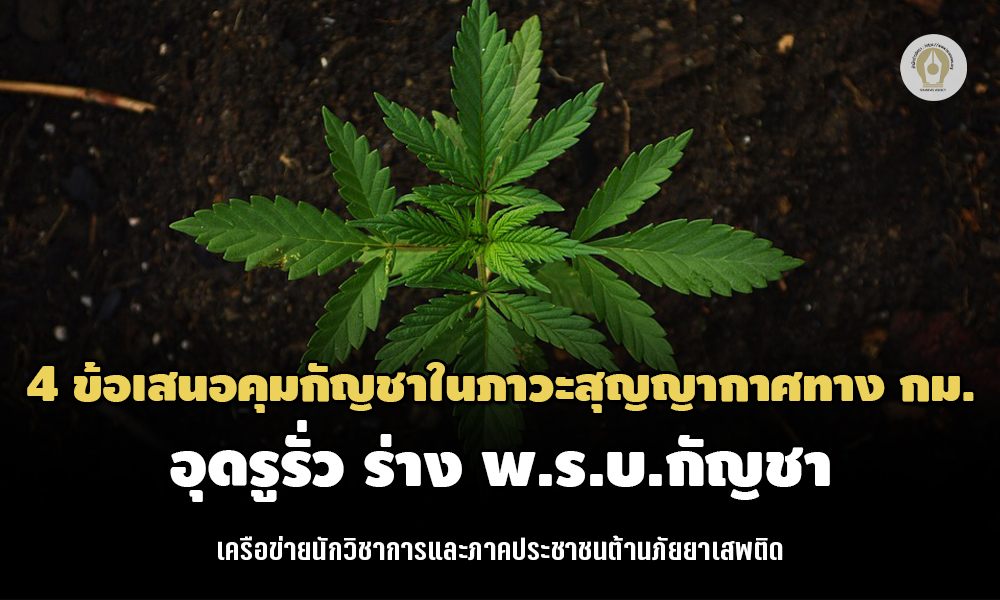 140622 cannabis5