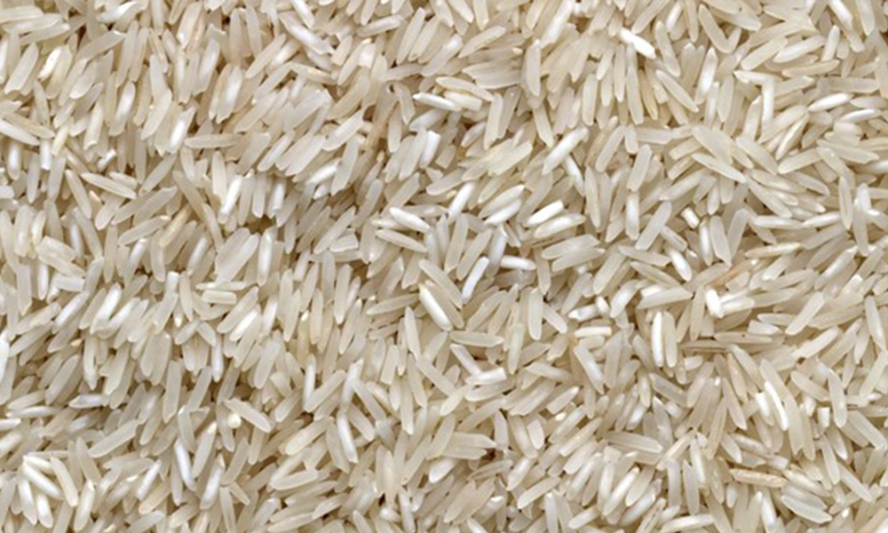 isr cover rice 250165 1