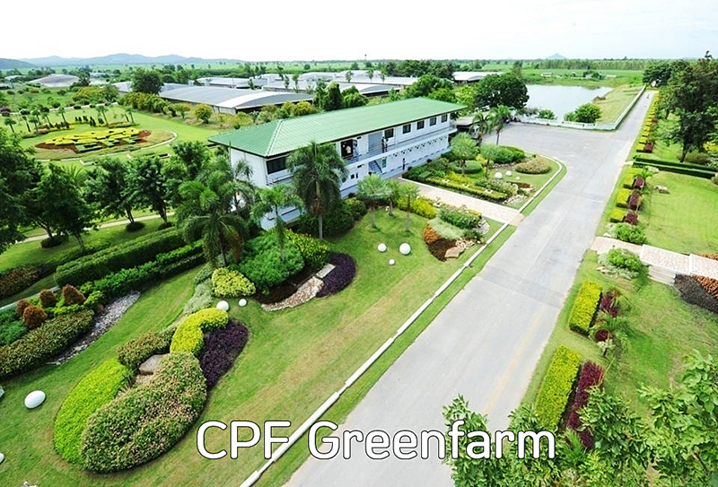 cpf Greenfarm 0303 p2