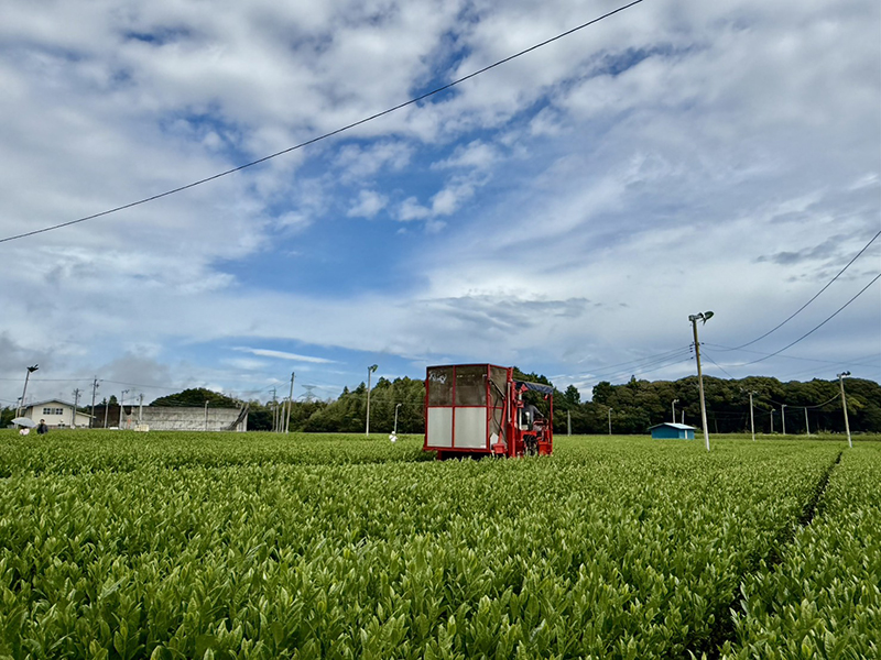 Bangchak Accelerating 06 10 5