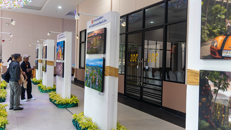 nongnoochpattaya 11 11 4