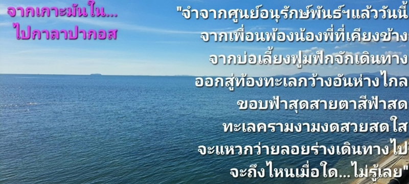 Rayong 23 12 8