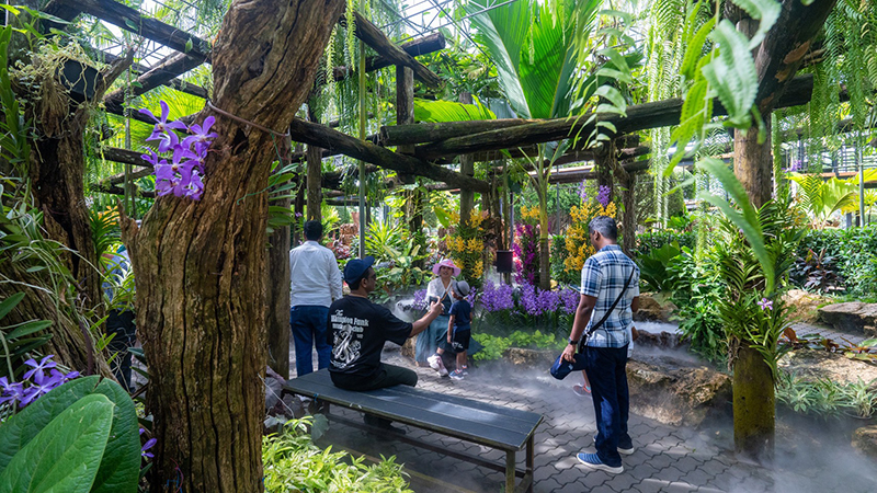 nongnoochpattaya 03 12 3