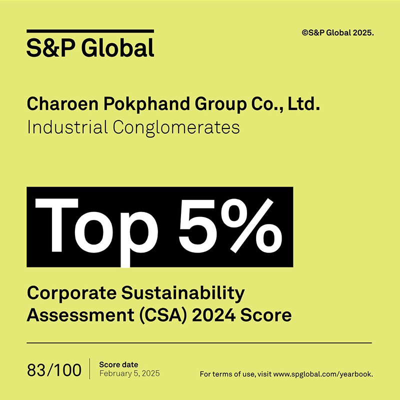 CPGroup SP CSA 17 02 2