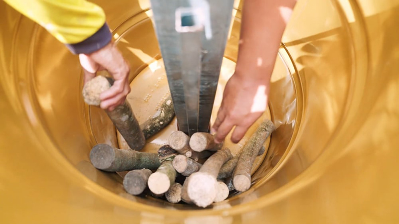 SCG Net Zero 09 07 3