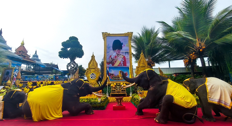 nongnoochpattaya 29 07 3