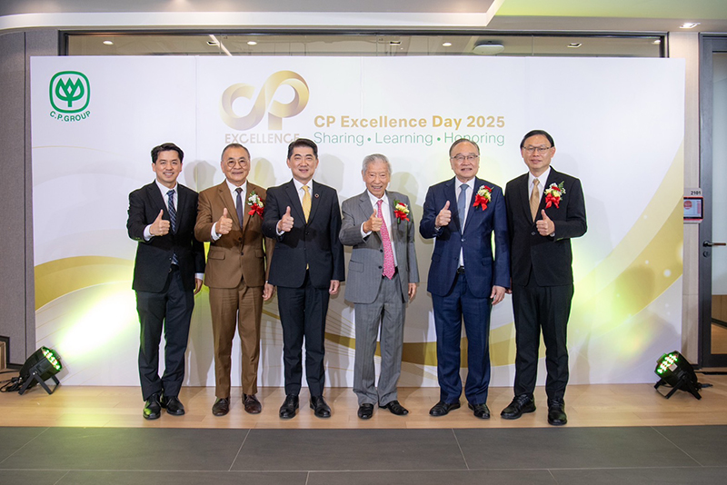 CP Excellence 28 08 5