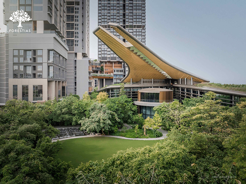 SCB Forestias 25 08 3