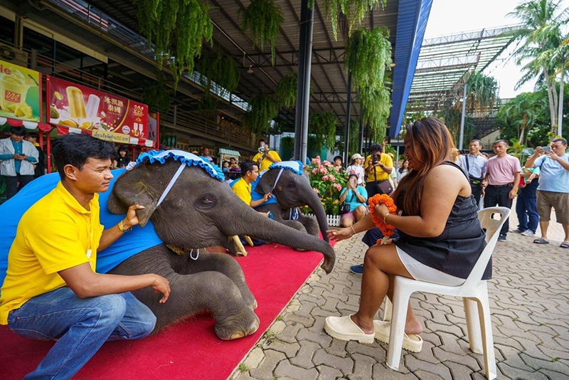 nongnoochpattaya 07 08 3