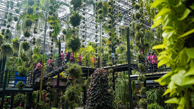 nongnoochpattaya 28 08 4