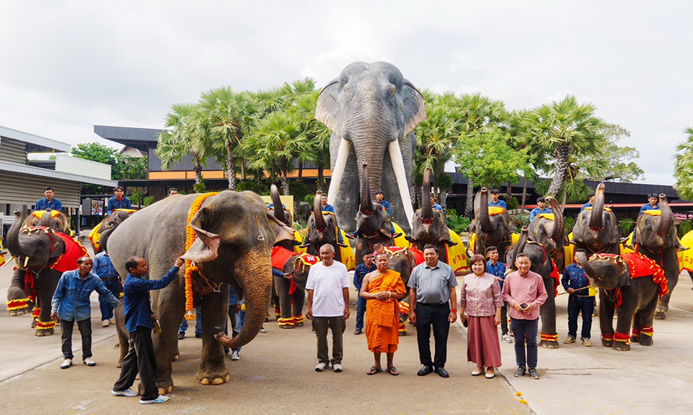 nongnoochpattaya 02 09 1