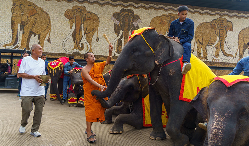 nongnoochpattaya 02 09 3