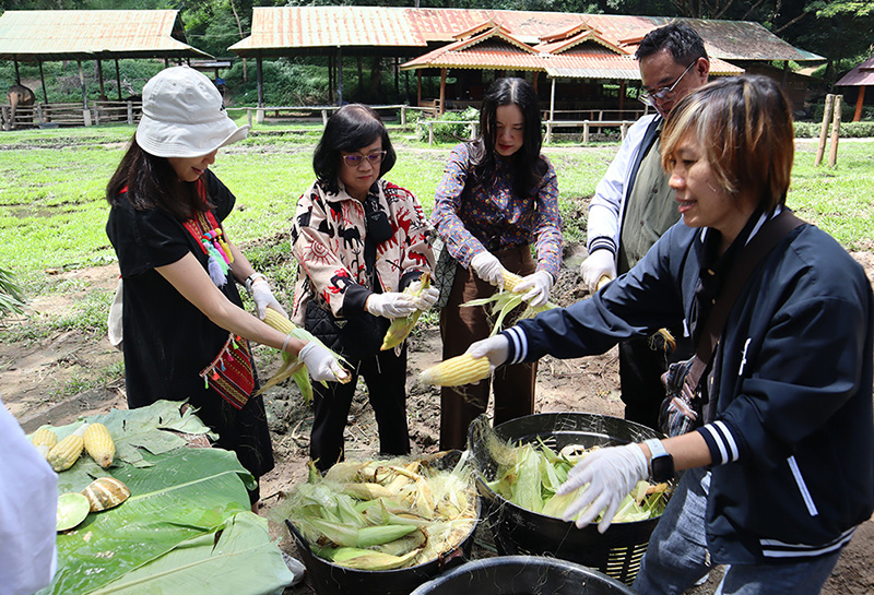 byss 091025 pic2 d3 p1