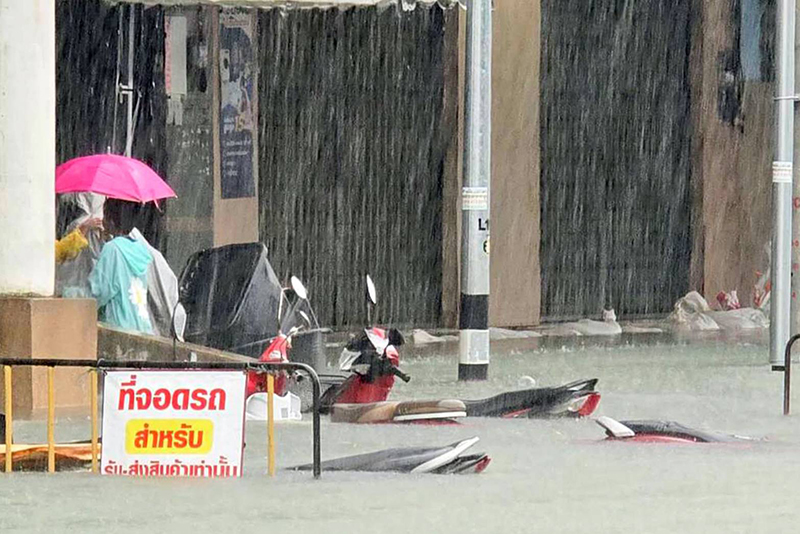 south sos 251125 pic4