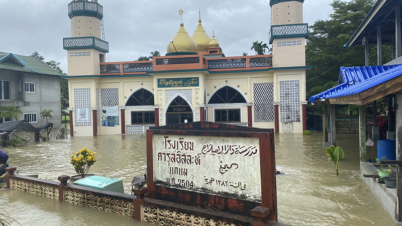 south sos 251125 pic5