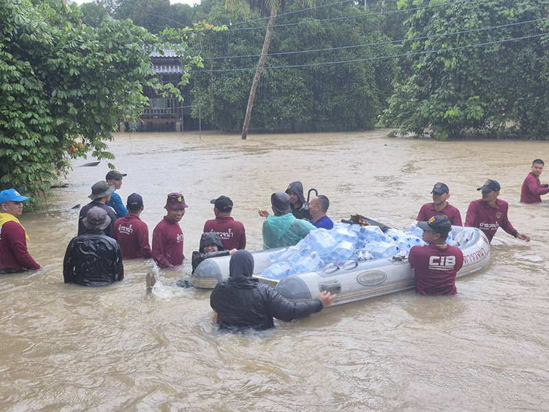 south sos 251125 pic6