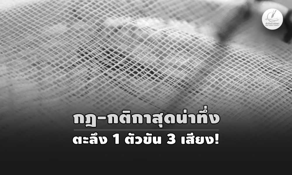 racegrasshopper18100bw