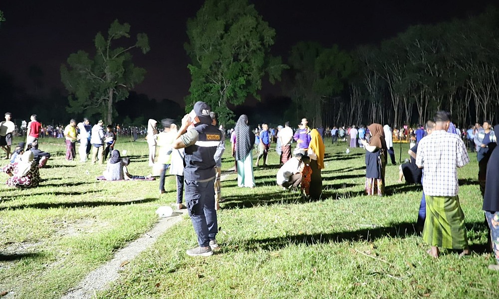 racegrasshopper181061