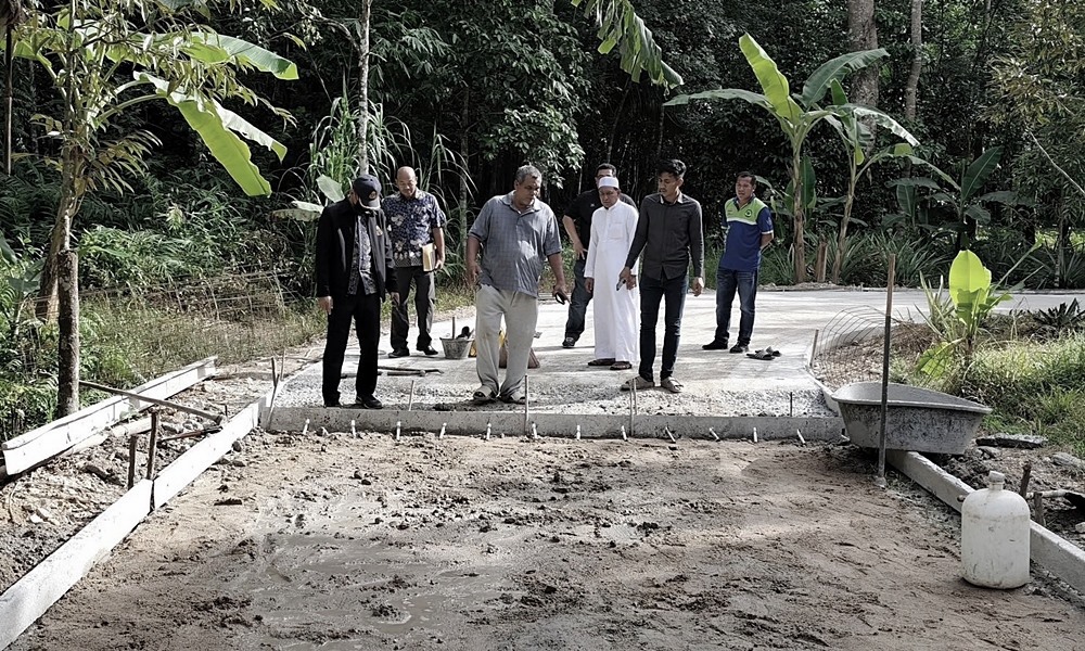 rubbertreeroad09112g