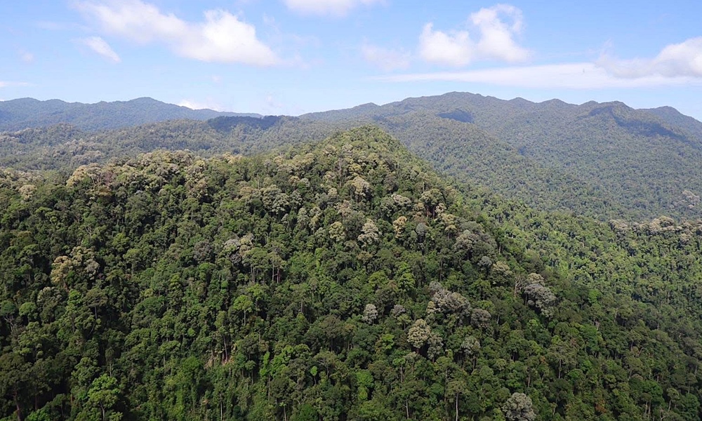 genphaisanhelicopter120841