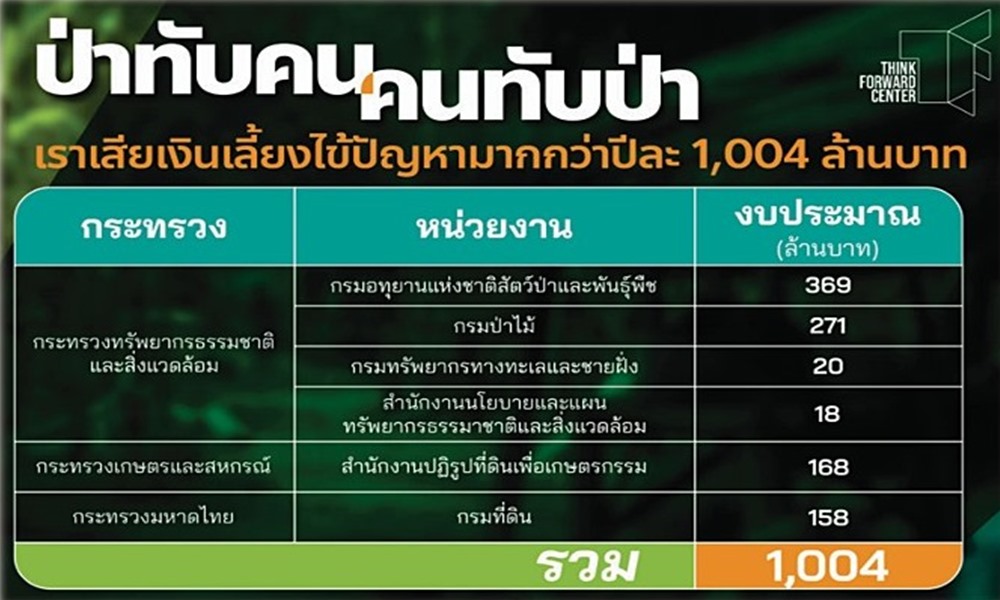 amnestylawforestpolicy280926