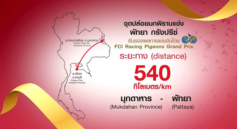 CPGroup PIPR 12 01 3