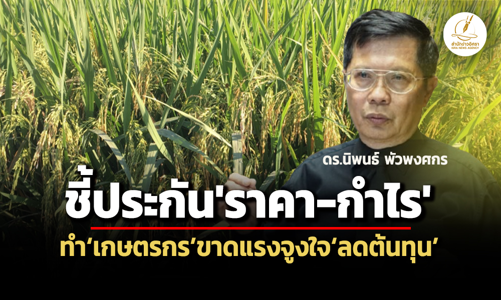 tdri 06 02 26 pic news