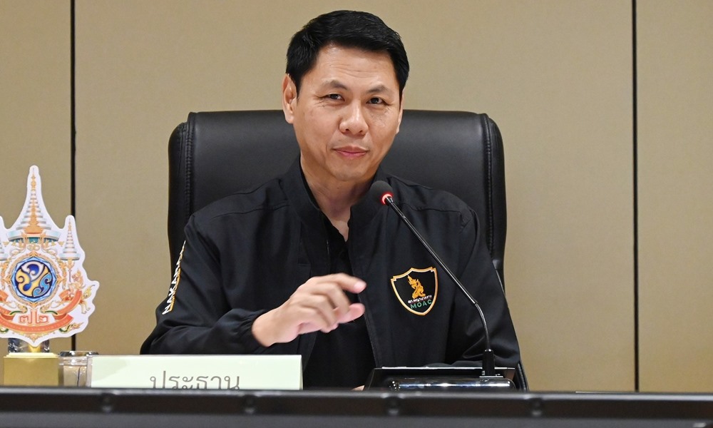 thaiholybasil241061