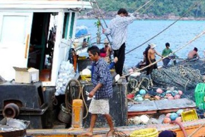 นักวิชาการชี้สหรัฐฯ คว่ำบาตรอาหารทะเลไทย กระทบยอดส่งออกสูง 30%