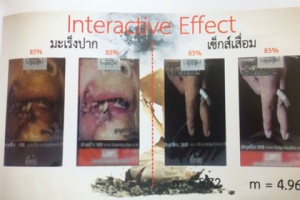 นักวิชาการเผยคำเตือนบนซองบุหรี่ได้ผล เรียกร้องสนช.คงเนื้อหาร่างพ.ร.บ.คุมยาสูบ