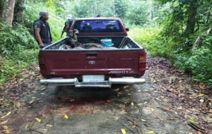 รัวกระสุนถล่มชาวบ้านหาของป่าเจ็บ 4 ที่สุไหงปาดี