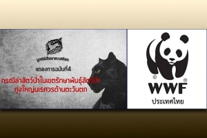 มูลนิธิสืบฯ - WWF-thaland แถลงขอบคุณทุกฝ่ายที่มีส่วนเกี่ยวข้องเร่งรัดคดีเสือดำ