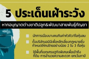 ไบโอไทย ชี้ควรระวังเปิดทางต่างชาติลงทุนปลูก-พัฒนาสายพันธุ์กัญชาในไทย