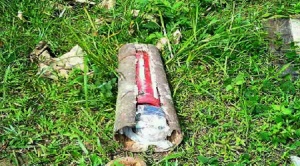 Officials alerted to look out for IED wrapped in tree bark or hollowed-out log