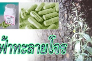 กรมแพทย์แผนไทยแนะประชาชนพกยาสมุนไพรประจำบ้าน แก้โรคหน้าร้อน