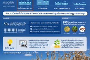 Infographic: วิกฤติภัยแล้ง ปัจจัยเสี่ยง-โอกาสที่ควรจับตามองสำหรับธุรกิจเกษตรไทย